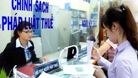 Cục Thuế hỏa tốc tạm dừng kiểm tra tại doanh nghiệp để sắp xếp bộ máy