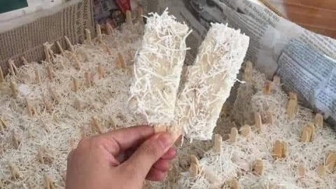 Kem tuổi thơ bán tràn lan trên mạng, tiềm ẩn nguy cơ sức khoẻ