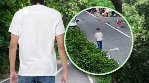 Hàng trăm người tìm kiếm nam thanh niên thất tình đi bộ 6 ngày trong rừng