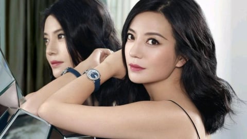 Triệu Vy đối mặt giai đoạn khó khăn nhất, khởi kiện kẻ bôi nhọ danh dự