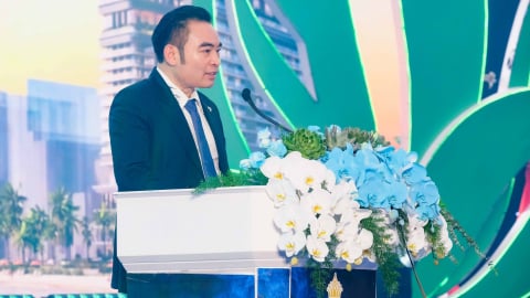Công ty Bitagco của đại gia Trần Văn Mười thua lỗ 270 tỷ đồng