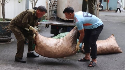 Liên tiếp phát hiện thực phẩm bẩn, lợn bệnh tuồn ra chợ tại Phú Thọ, Lạng Sơn