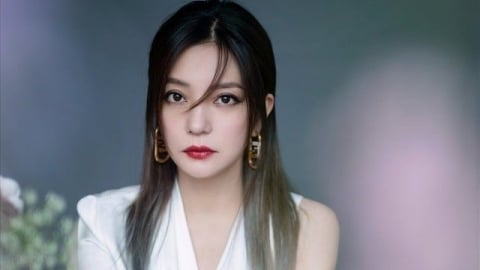 Triệu Vy tiếp tục bị đóng băng cổ phiếu trị giá gần 60 tỷ đồng