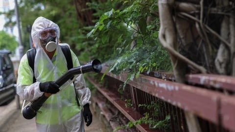 Tại sao dịch Chikungunya có nguy cơ lan rộng? 