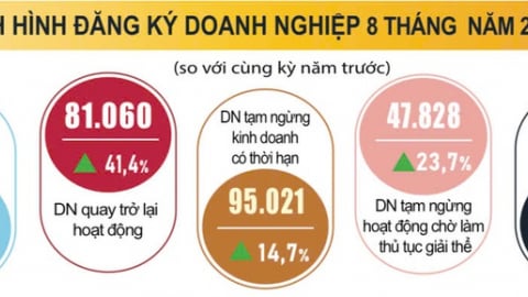Tháng 8/2025, số doanh nghiệp thành lập mới và quay lại thị trường tăng mạnh