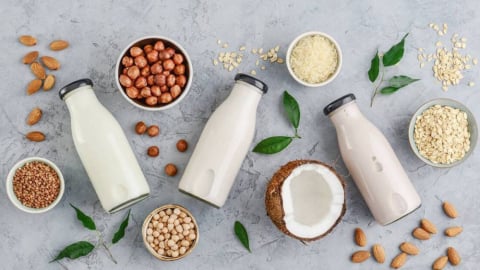 Xu hướng sữa thực vật và sản phẩm thay thế: Cơ hội hay thách thức cho ngành sữa truyền thống?