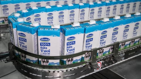 Đấu giá 3,33% vốn điều lệ Vinamilk, F&N 'rớt đài' trước người đồng hương Jardinr Cycle & Carriage