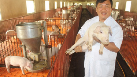 Giấc mơ nghìn tỷ của “trùm” nuôi lợn hiện đại bậc nhất đất Sài thành