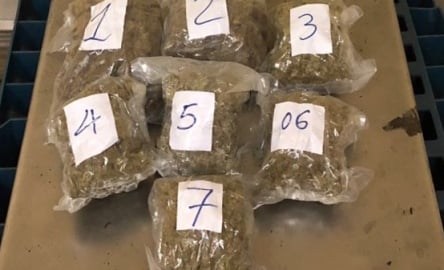 Bắt giữ vụ vận chuyển hơn 5,2 kg cần sa từ Mỹ về Việt Nam
