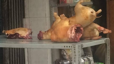 Rủi ro khi ăn phải thịt chó dại