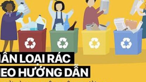 Không phân loại rác thải nguy hại tại nguồn: Chưa có chế tài xử lý