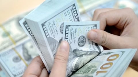TP.HCM siết chặt thu đổi ngoại tệ, ngăn chặn mua bán USD tự do