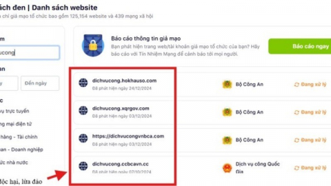 Hướng dẫn tra cứu các website lừa đảo trên VNeID