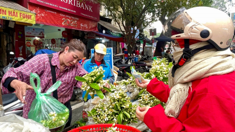 Bán hoa bưởi đầu mùa, tiểu thương bỏ túi tiền triệu 
mỗi ngày