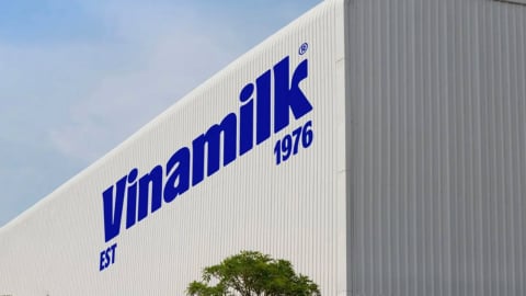 Vinamilk báo lãi quý 1 giảm 28% so với cùng kỳ