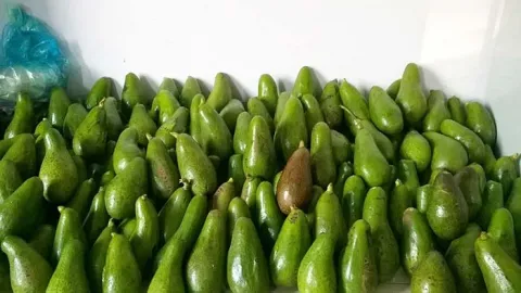 Cá rô phi VN bứt phá tại thị trường Mỹ, bơ đầu mùa sốt giá