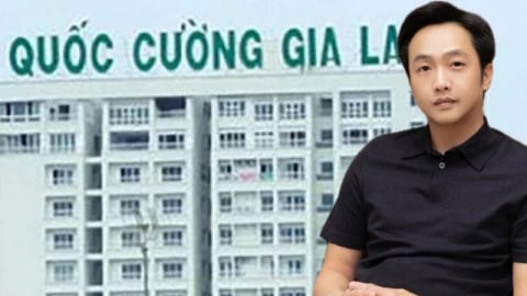 Cổ phiếu công ty của Cường Đô La tăng kịch trần