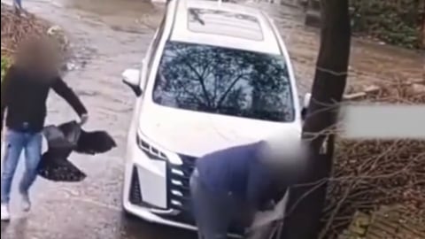 Dàn dựng cảnh ô tô đâm vào cây để gian lận tiền bảo hiểm