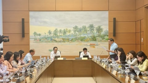ĐBQH ủng hộ giảm thuế GTGT đến hết năm 2026 để thúc đẩy tiêu dùng, giữ đà tăng trưởng