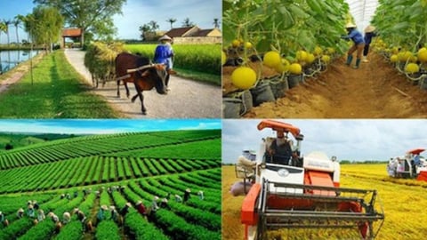 Chắp cánh kinh tế nông thôn từ Nghị quyết 68