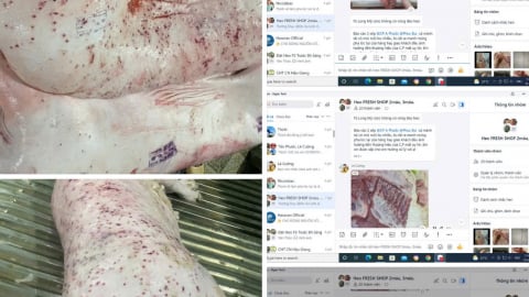 C.P. Việt Nam nói gì về thông tin trộn thịt heo, gà bệnh bán ra thị trường?