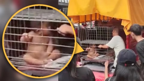 Nhốt con trai khỏa thân trong lồng sắt, người cha bị chỉ trích nặng nề