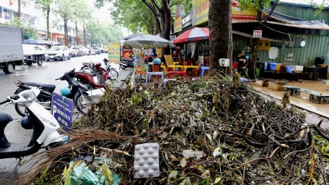 Hà Nội: Cây gãy vẫn nằm la liệt, ngổn ngang sau 1 tuần dông lốc