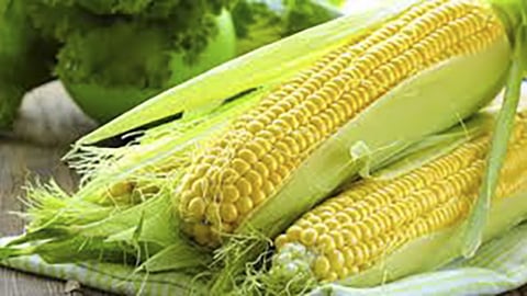 Những thực phẩm đại kỵ với ngô
