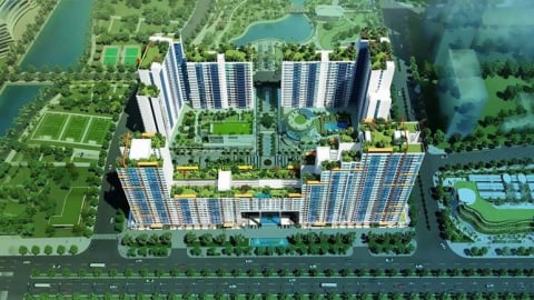 Đại gia bất động sản Thuận Việt Holdings dẫn đầu danh sách nợ thuế tại TP HCM