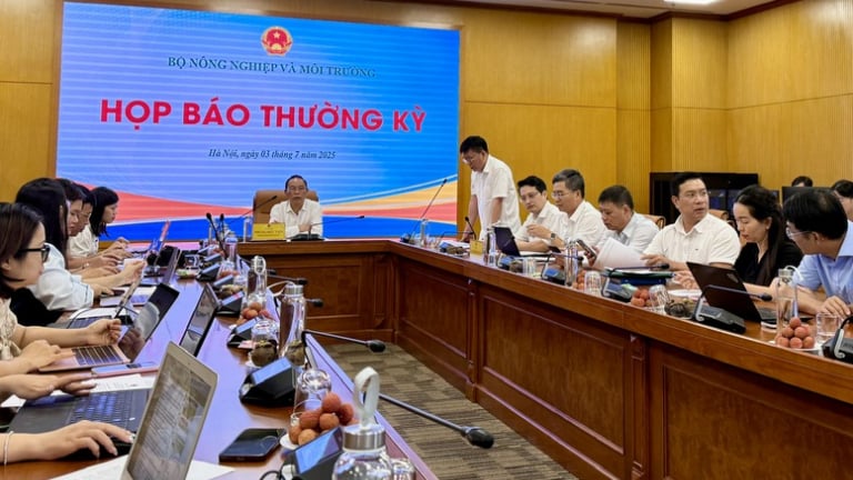 6 tháng đầu năm, xuất khẩu nông, lâm, thủy sản tăng hơn 15%