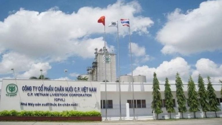 Sau vụ ầm ĩ 'bán thịt heo bệnh', C.P Việt Nam đạt 2 tỷ USD doanh thu, hụt thu gần 6.000 tỷ đồng tại Việt Nam