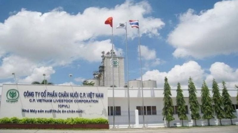 Sau vụ ầm ĩ 'bán thịt heo bệnh', C.P Việt Nam đạt 2 tỷ USD doanh thu, hụt thu gần 6.000 tỷ đồng tại Việt Nam