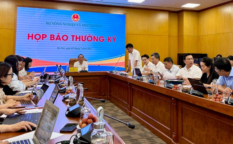 6 tháng đầu năm, xuất khẩu nông, lâm, thủy sản tăng hơn 15%