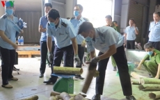 Đà Nẵng: Bắt giữ hơn 9 tấn nghi ngà voi