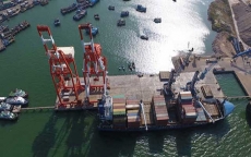 Lùm xùm’ cảng Quy Nhơn: Công ty Hợp Thành khai ‘khống vốn’ làm trái lệnh