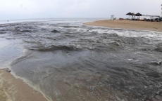 Đà Nẵng: Nước thải đen ngòm ồ ạt đổ ra biển