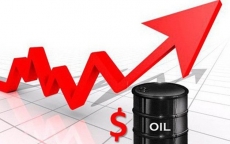 Giá dầu hôm nay 27.5: Tăng trong bối cảnh nguồn cung của OPEC giảm