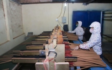 Ấn Độ đột ngột thay đổi chính sách nhập khẩu hương (nhang), hơn 100 doanh nghiệp Việt Nam điêu đứng