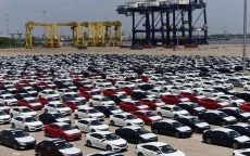 Trong 8 tháng năm 2019, Việt Nam nhập khẩu tới 95.929 chiếc ô tô