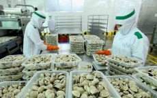 Thêm 3 loại thủy sản Việt Nam được “mở cửa” vào thị trường Trung Quốc