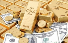 Giá vàng và USD sáng 20/11 tăng mạnh trở lại