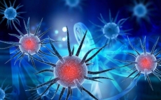Thế giới thêm 94 ca tử vong mới do virus corona, số ca nhiễm mới tại Hồ Bắc tiếp tục giảm
