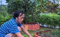 Không riêng Hoài Linh, sao Việt đổ xô mua trang trại, làm nông dân