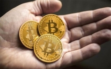 Giá Bitcoin hôm nay 28/7: ‘Cơn điên’ tiền ảo trở lại, Bitcoin tăng chóng mặt