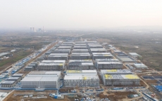 Xây 'chung cư' nuôi heo, đại gia Trung Quốc sở hữu trại heo lớn nhất thế giới