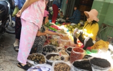 Đông dược “trôi nổi” được bày bán từ vỉa hè đến chợ sỉ