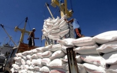 Xuất khẩu gạo của Việt Nam năm 2020 vượt mốc 3 tỷ USD