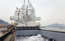 Bộ Nông nghiệp Mỹ: Việt Nam sẽ tiếp tục đứng thứ 2 về xuất khẩu gạo