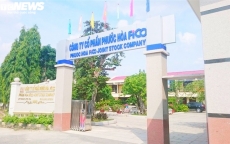 Công ty Phước Hoà FiCO và Công ty CP Vật liệu xây dựng DIC bị xử phạt