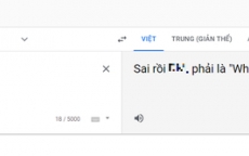 Google dùng từ lóng 'mắng' vỗ mặt người dùng Việt vì viết sai câu tiếng Anh